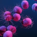Enfermedades de Transmisión Sexual (ETS): Prevención, Tratamientos y Todo lo que Necesitas Saber